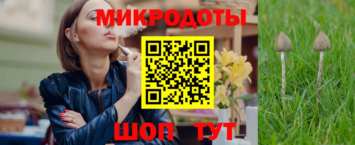купить  цена  Галлюциногенные грибы Psilocybe  Вход с VPN  Белебей 